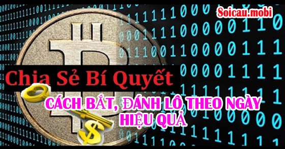 Bí quyết bắt lô hiệu quả