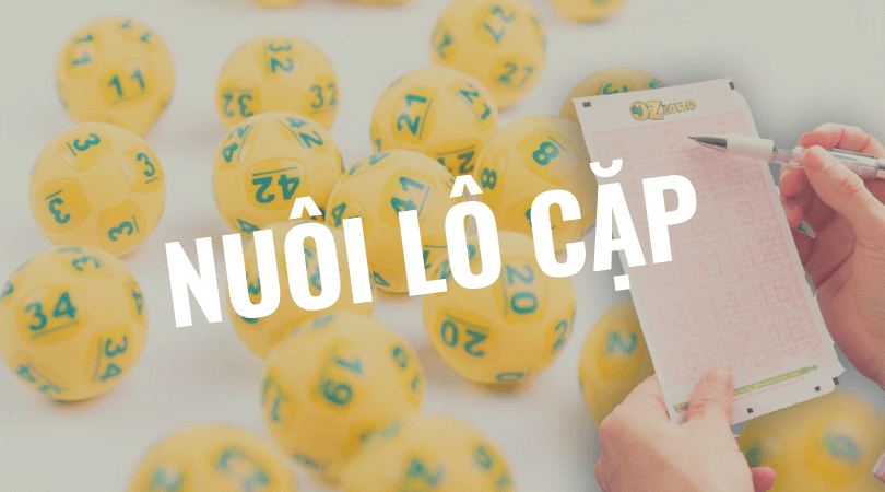 nuc3b4i-lc3b4-ce1bab7p-1 nuôi lô cặp